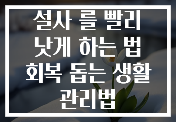 설사 를 빨리 낫게 하는 법 회복 돕는 생활 관리법