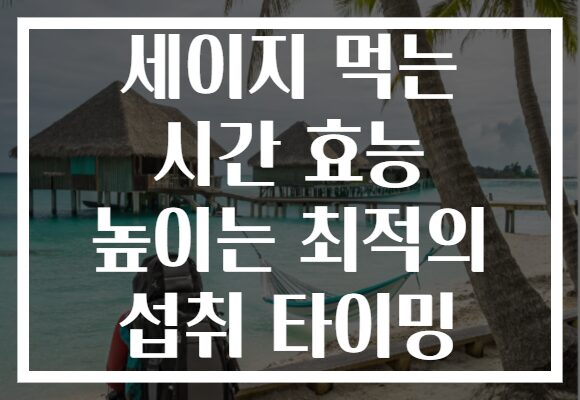 세이지 먹는 시간 효능 높이는 최적의 섭취 타이밍 세이지 먹는 시간 효능 높이는 최적의 섭취 타이밍