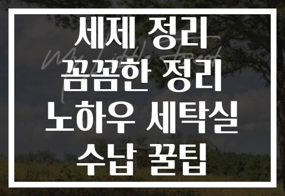 세제 정리 꼼꼼한 정리 노하우 세탁실 수납 꿀팁