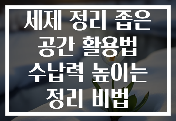 세제 정리 좁은 공간 활용법 수납력 높이는 정리 비법