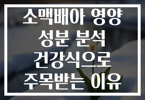 소맥배아 영양 성분 분석 건강식으로 주목받는 이유