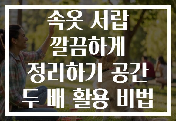 속옷 서랍 깔끔하게 정리하기 공간 두 배 활용 비법 속옷 서랍 깔끔하게 정리하기 공간 두 배 활용 비법