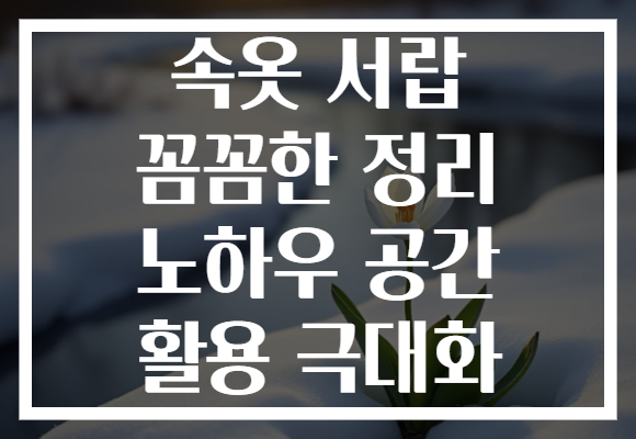 속옷 서랍 꼼꼼한 정리 노하우 공간 활용 극대화 속옷 서랍 꼼꼼한 정리 노하우 공간 활용 극대화