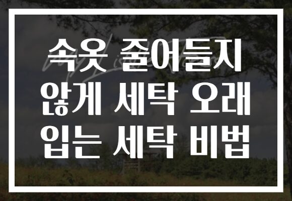 속옷 줄어들지 않게 세탁 오래 입는 세탁 비법