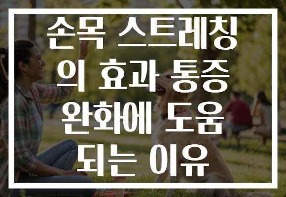손목 스트레칭 의 효과 통증 완화에 도움 되는 이유 손목 스트레칭 의 효과 통증 완화에 도움 되는 이유