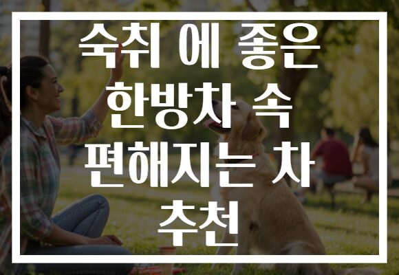 숙취 에 좋은 한방차 속 편해지는 차 추천