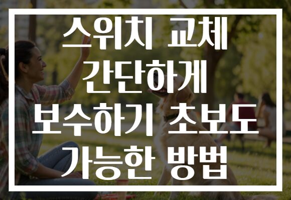 스위치 교체 간단하게 보수하기 초보도 가능한 방법