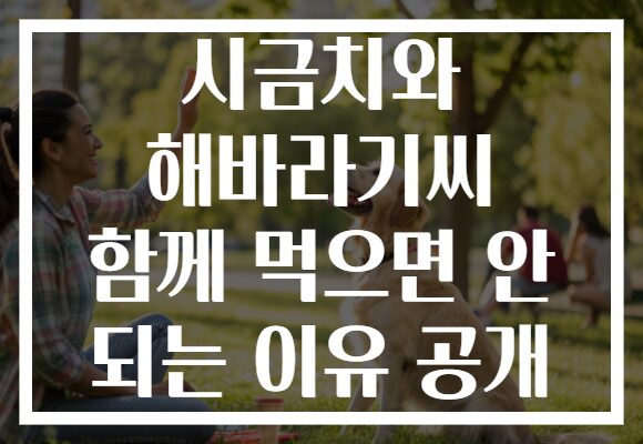 시금치와 해바라기씨 함께 먹으면 안 되는 이유 공개