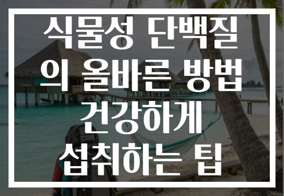 식물성 단백질 의 올바른 방법 건강하게 섭취하는 팁
