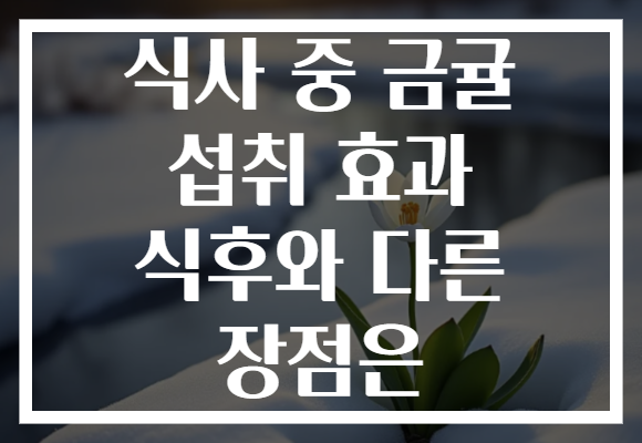 식사 중 금귤 섭취 효과 식후와 다른 장점은 식사 중 금귤 섭취 효과 식후와 다른 장점은