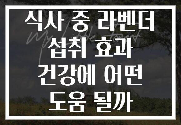 식사 중 라벤더 섭취 효과 건강에 어떤 도움 될까 식사 중 라벤더 섭취 효과 건강에 어떤 도움 될까