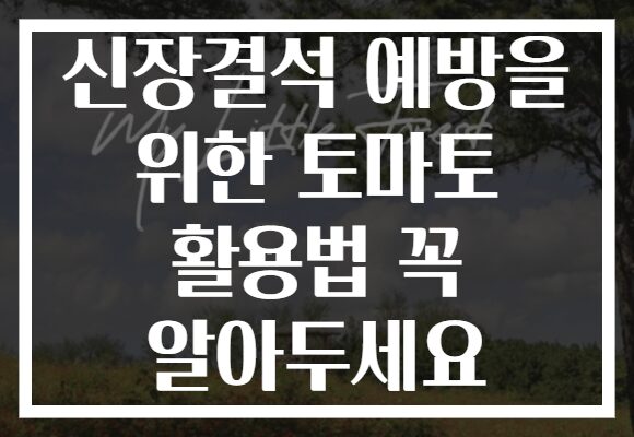 신장결석 예방을 위한 토마토 활용법 꼭 알아두세요 신장결석 예방을 위한 토마토 활용법 꼭 알아두세요