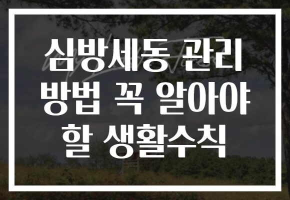 심방세동 관리 방법 꼭 알아야 할 생활수칙 심방세동 관리 방법 꼭 알아야 할 생활수칙