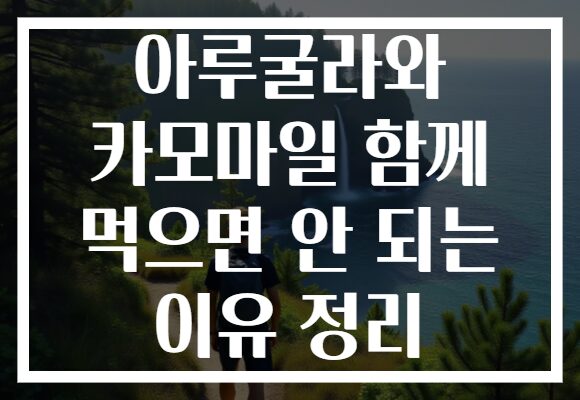아루굴라와 카모마일 함께 먹으면 안 되는 이유 정리 아루굴라와 카모마일 함께 먹으면 안 되는 이유 정리