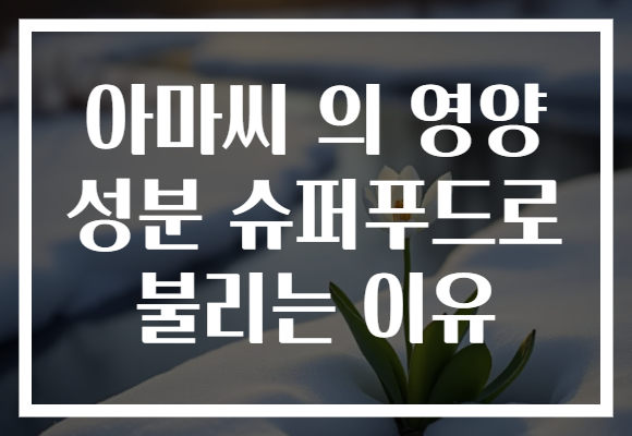 아마씨 의 영양 성분 슈퍼푸드로 불리는 이유 아마씨 의 영양 성분 슈퍼푸드로 불리는 이유