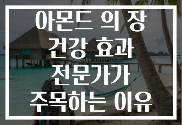 아몬드 의 장 건강 효과 전문가가 주목하는 이유