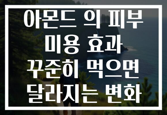 아몬드 의 피부 미용 효과 꾸준히 먹으면 달라지는 변화