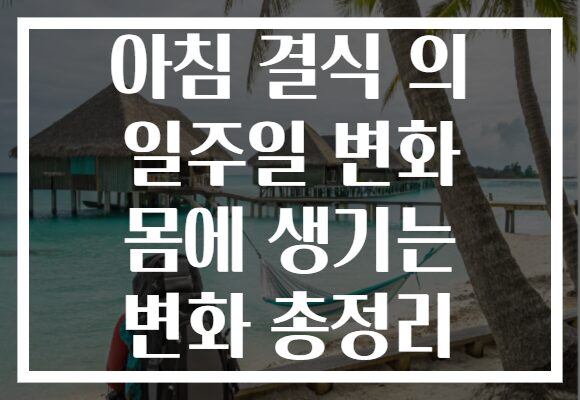 아침 결식 의 일주일 변화 몸에 생기는 변화 총정리 아침 결식 의 일주일 변화 몸에 생기는 변화 총정리