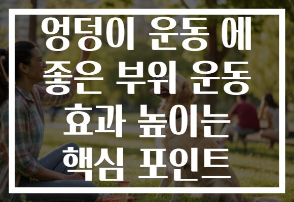 엉덩이 운동 에 좋은 부위 운동 효과 높이는 핵심 포인트 엉덩이 운동 에 좋은 부위 운동 효과 높이는 핵심 포인트