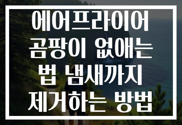 에어프라이어 곰팡이 없애는 법 냄새까지 제거하는 방법