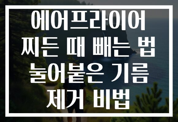 에어프라이어 찌든 때 빼는 법 눌어붙은 기름 제거 비법 에어프라이어 찌든 때 빼는 법 눌어붙은 기름 제거 비법