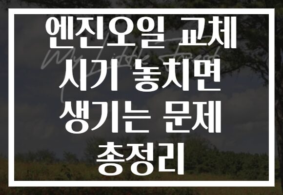 엔진오일 교체 시기 놓치면 생기는 문제 총정리 엔진오일 교체 시기 놓치면 생기는 문제 총정리