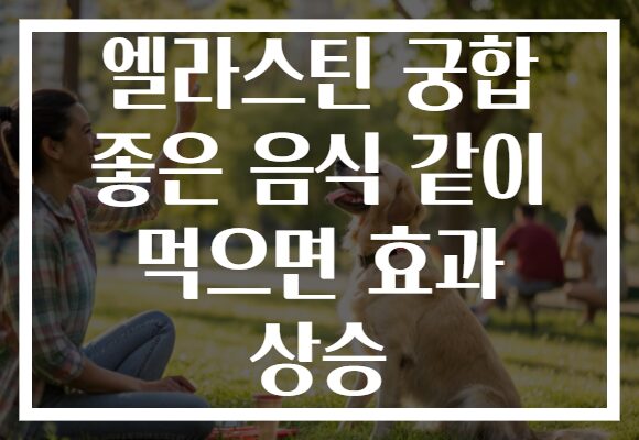 엘라스틴 궁합 좋은 음식 같이 먹으면 효과 상승 엘라스틴 궁합 좋은 음식 같이 먹으면 효과 상승