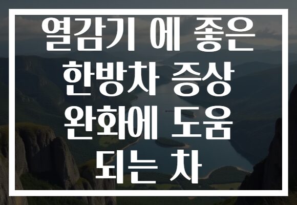 열감기 에 좋은 한방차 증상 완화에 도움 되는 차