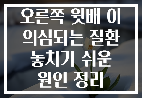 오른쪽 윗배 이 의심되는 질환 놓치기 쉬운 원인 정리 오른쪽 윗배 이 의심되는 질환 놓치기 쉬운 원인 정리