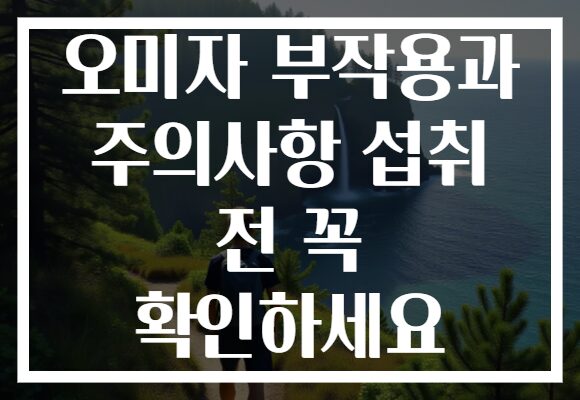 오미자 부작용과 주의사항 섭취 전 꼭 확인하세요 오미자 부작용과 주의사항 섭취 전 꼭 확인하세요