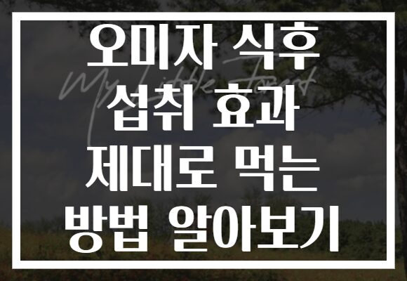 오미자 식후 섭취 효과 제대로 먹는 방법 알아보기