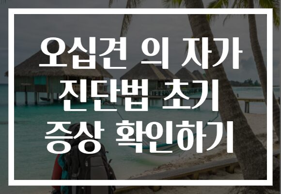 오십견 의 자가 진단법 초기 증상 확인하기 오십견 의 자가 진단법 초기 증상 확인하기