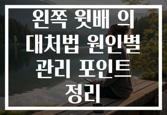 왼쪽 윗배 의 대처법 원인별 관리 포인트 정리
