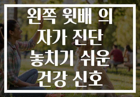 왼쪽 윗배 의 자가 진단 놓치기 쉬운 건강 신호
