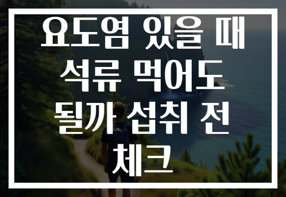 요도염 있을 때 석류 먹어도 될까 섭취 전 체크 요도염 있을 때 석류 먹어도 될까 섭취 전 체크