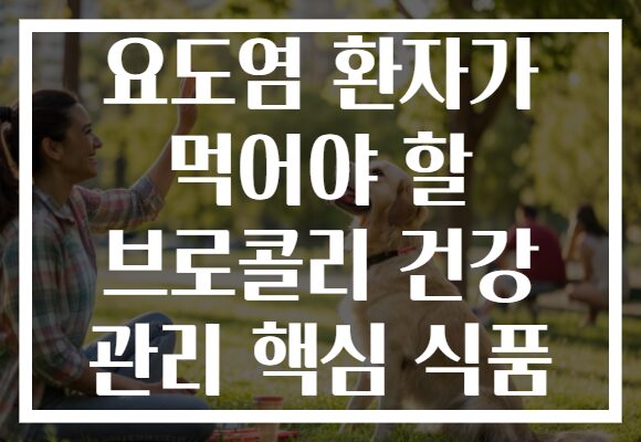 요도염 환자가 먹어야 할 브로콜리 건강 관리 핵심 식품 요도염 환자가 먹어야 할 브로콜리 건강 관리 핵심 식품