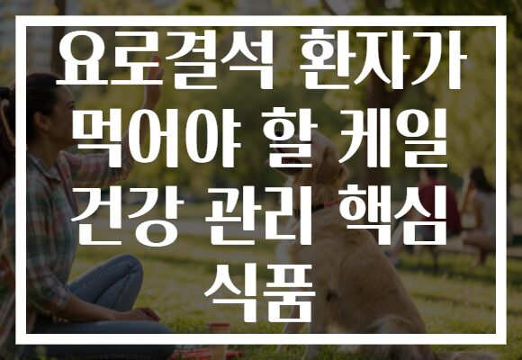 요로결석 환자가 먹어야 할 케일 건강 관리 핵심 식품 요로결석 환자가 먹어야 할 케일 건강 관리 핵심 식품