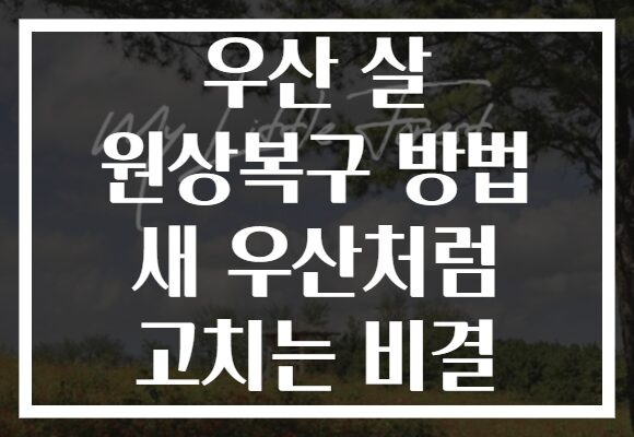 우산 살 원상복구 방법 새 우산처럼 고치는 비결