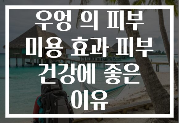 우엉 의 피부 미용 효과 피부 건강에 좋은 이유 우엉 의 피부 미용 효과 피부 건강에 좋은 이유