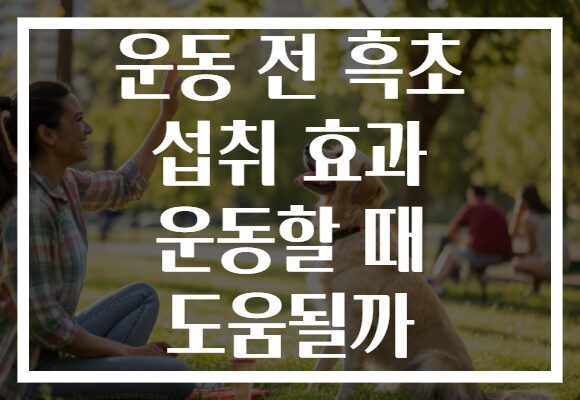 운동 전 흑초 섭취 효과 운동할 때 도움될까 운동 전 흑초 섭취 효과 운동할 때 도움될까