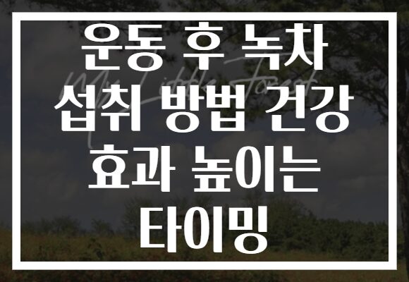 운동 후 녹차 섭취 방법 건강 효과 높이는 타이밍 운동 후 녹차 섭취 방법 건강 효과 높이는 타이밍