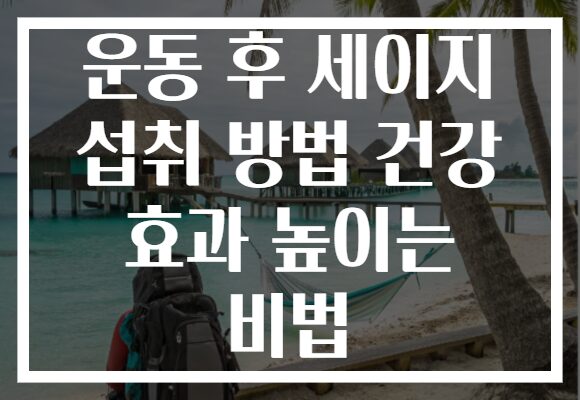 운동 후 세이지 섭취 방법 건강 효과 높이는 비법 운동 후 세이지 섭취 방법 건강 효과 높이는 비법