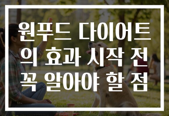원푸드 다이어트 의 효과 시작 전 꼭 알아야 할 점