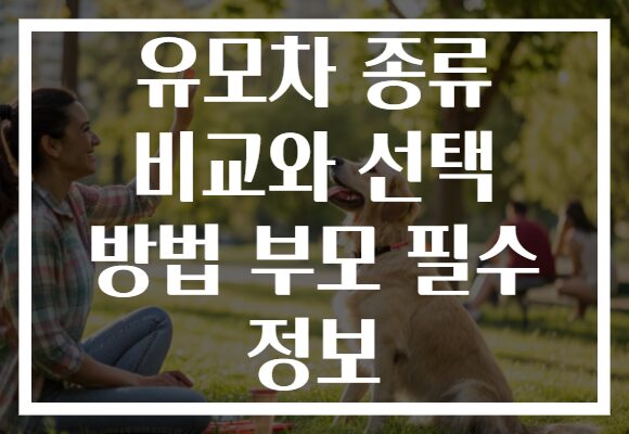 유모차 종류 비교와 선택 방법 부모 필수 정보 유모차 종류 비교와 선택 방법 부모 필수 정보