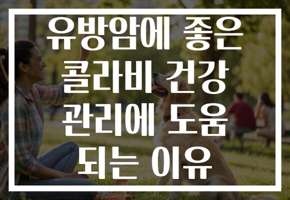 유방암에 좋은 콜라비 건강 관리에 도움 되는 이유