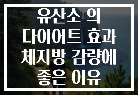 유산소 의 다이어트 효과 체지방 감량에 좋은 이유