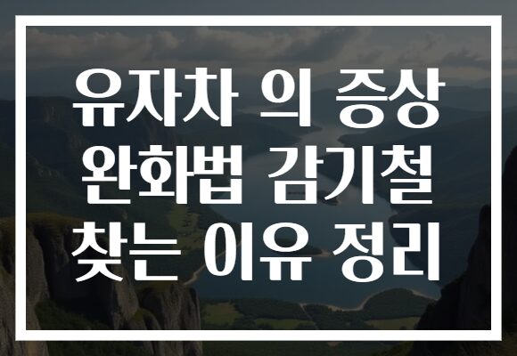 유자차 의 증상 완화법 감기철 찾는 이유 정리 유자차 의 증상 완화법 감기철 찾는 이유 정리
