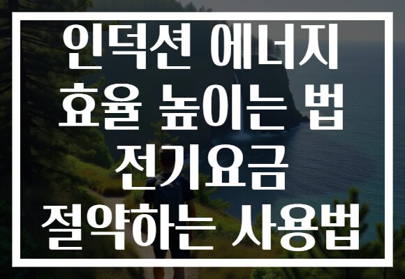 인덕션 에너지 효율 높이는 법 전기요금 절약하는 사용법 인덕션 에너지 효율 높이는 법 전기요금 절약하는 사용법