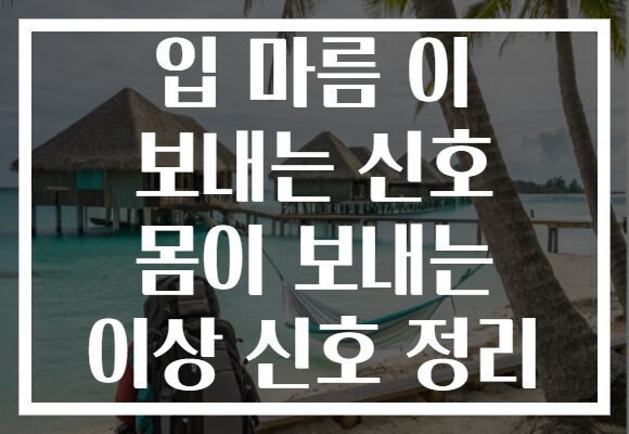입 마름 이 보내는 신호 몸이 보내는 이상 신호 정리