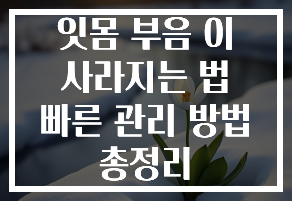 잇몸 부음 이 사라지는 법 빠른 관리 방법 총정리 잇몸 부음 이 사라지는 법 빠른 관리 방법 총정리